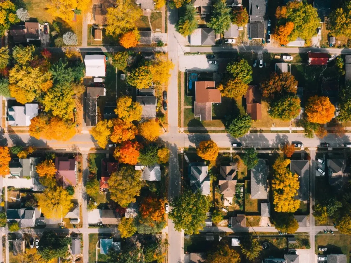 Streets of single-family homes and autumn trees seen from above.