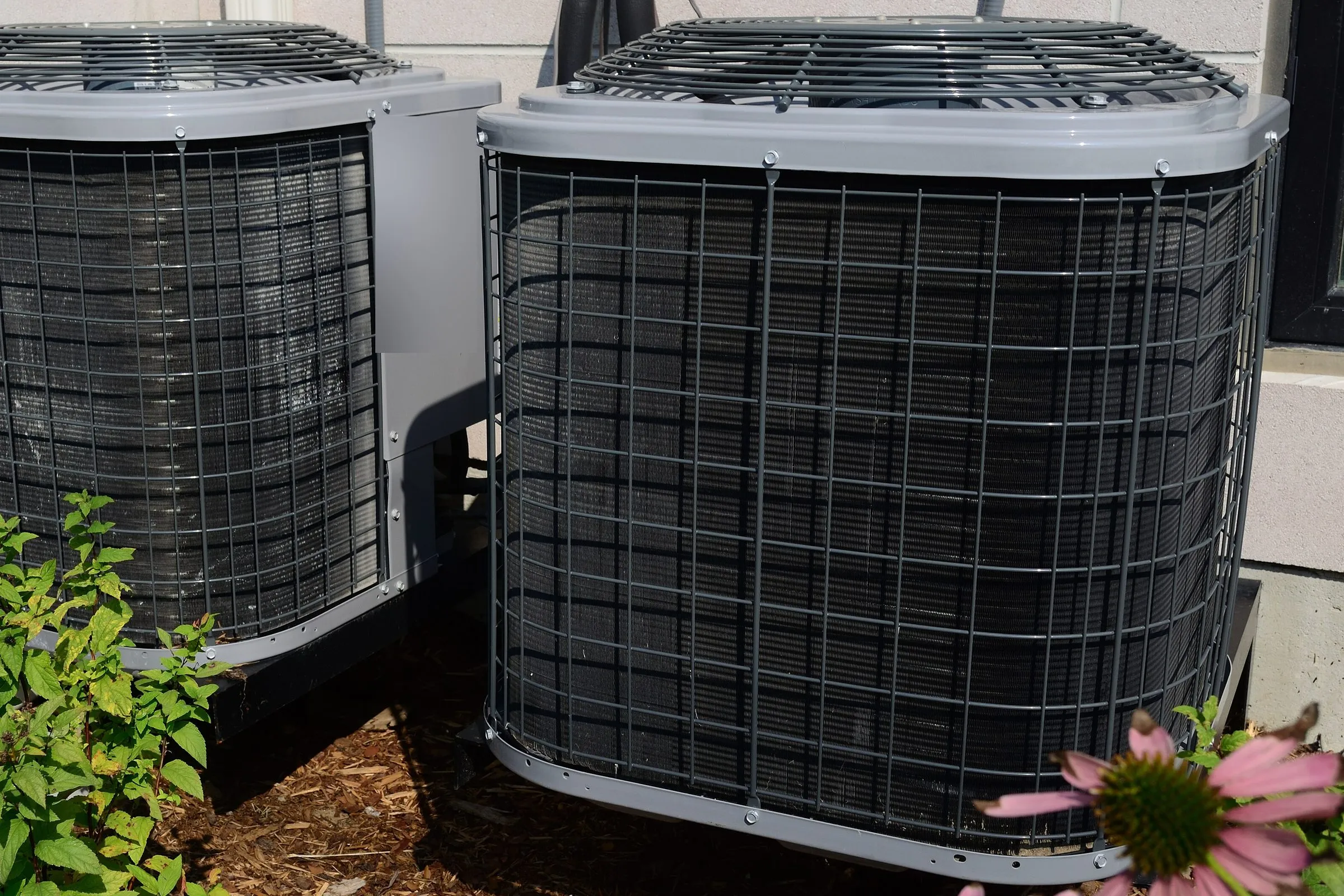 Two outdoor condenser units of split heating and cooling systems side by side on pads beside a house wall, with shrubs and a coneflower